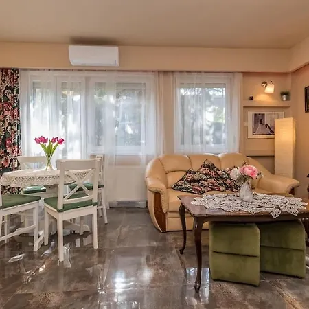 Szabi Buda New Terrace *