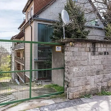 Szabi Buda New Terrace *