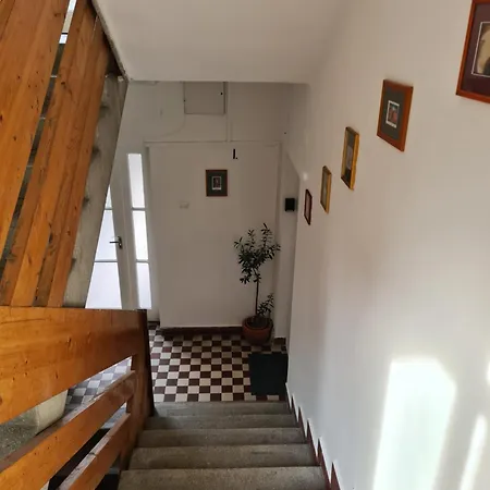 Szabi Buda New Terrace