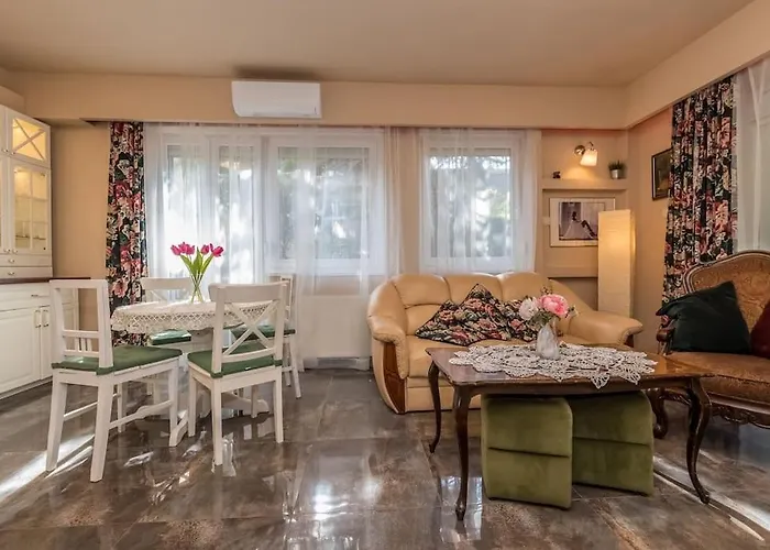 Szabi Buda New Terrace *