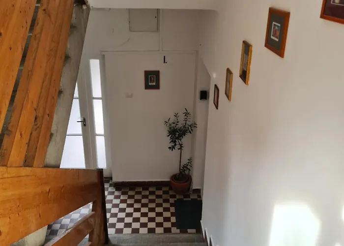 Szabi Buda New Terrace